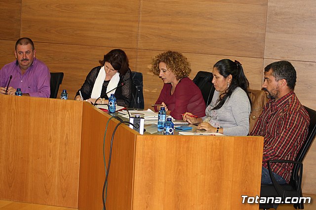 Pleno ordinario octubre 2013 - 8