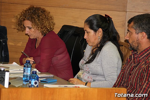 Pleno ordinario octubre 2013 - 9