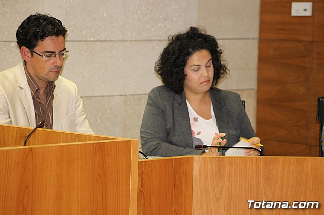 Pleno ordinario octubre 2013 - 10