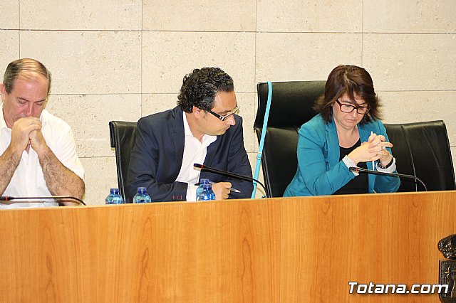 Pleno ordinario octubre 2013 - 11