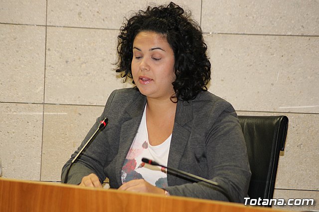 Pleno ordinario octubre 2013 - 12