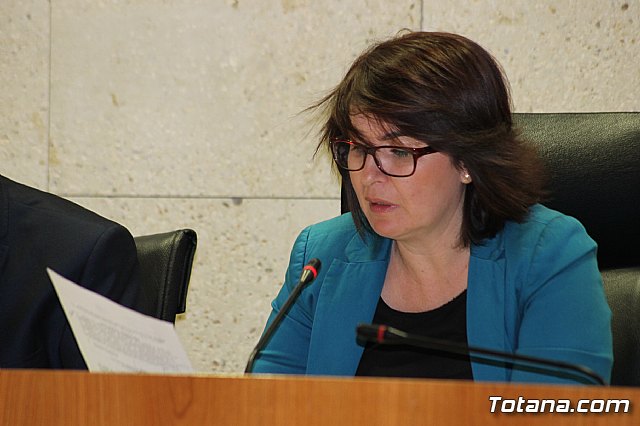 Pleno ordinario octubre 2013 - 13