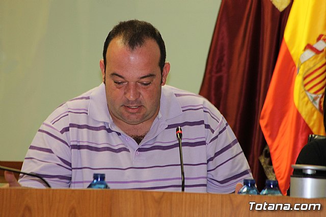 Pleno ordinario octubre 2013 - 15