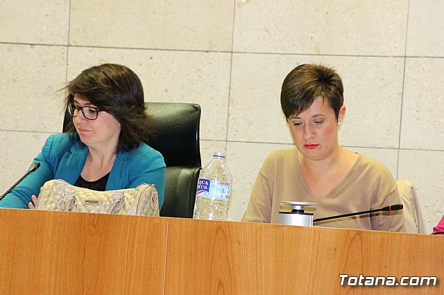 Pleno ordinario octubre 2013 - 16