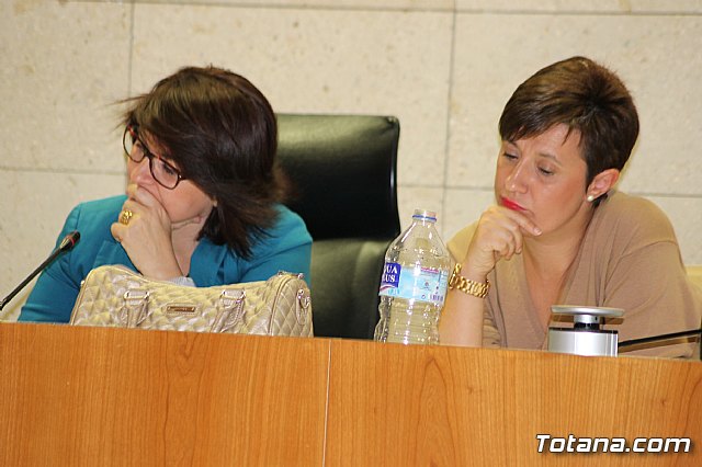 Pleno ordinario octubre 2013 - 18