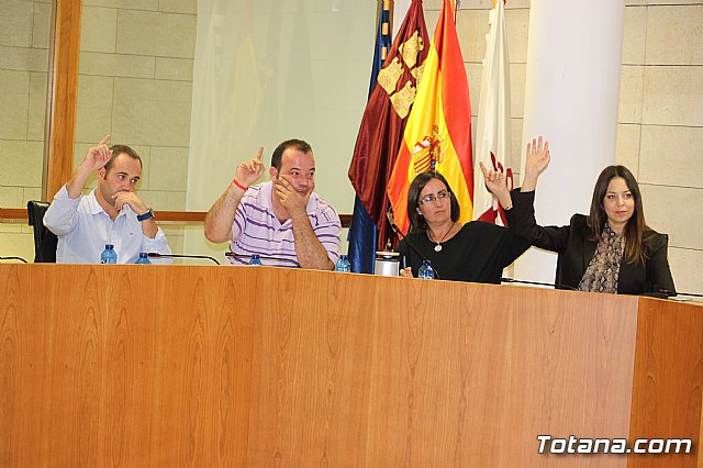 Pleno ordinario octubre 2013 - 20