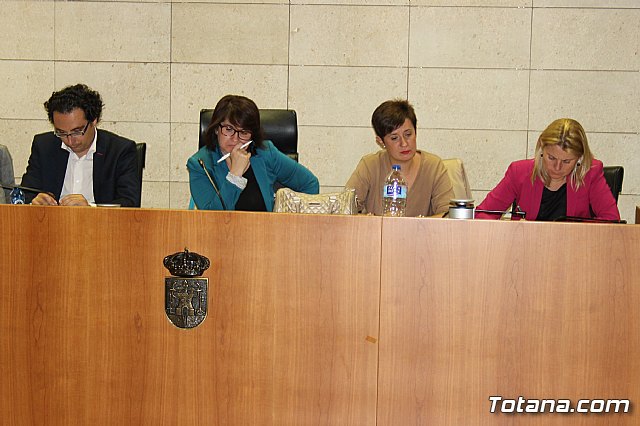 Pleno ordinario octubre 2013 - 23