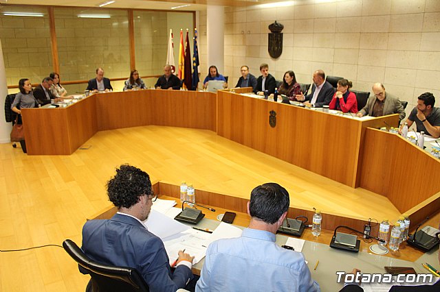 Pleno ordinario octubre 2019 - 1