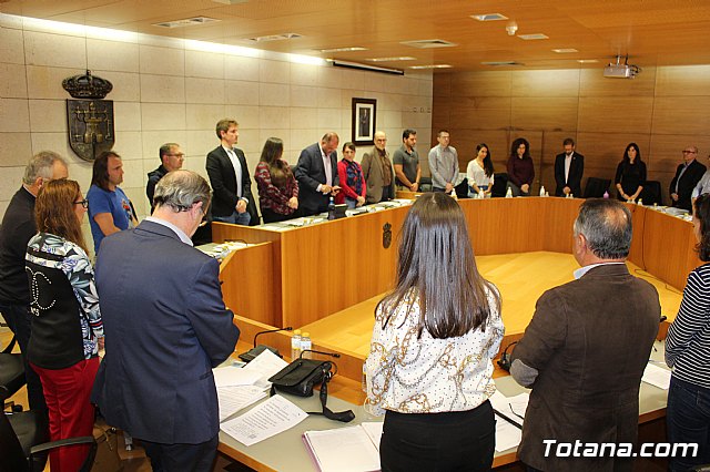 Pleno ordinario octubre 2019 - 5