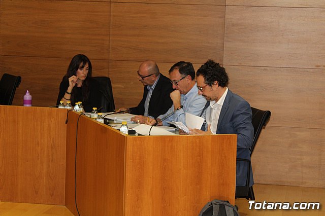 Pleno ordinario octubre 2019 - 13