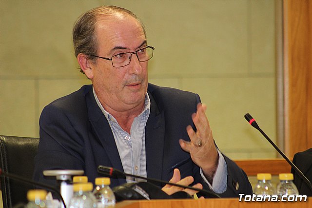 Pleno ordinario octubre 2019 - 27