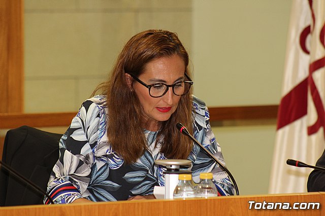 Pleno ordinario octubre 2019 - 31