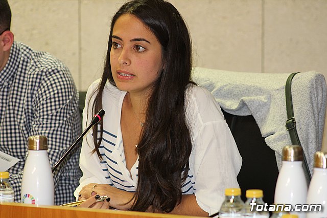 Pleno ordinario octubre 2019 - 32