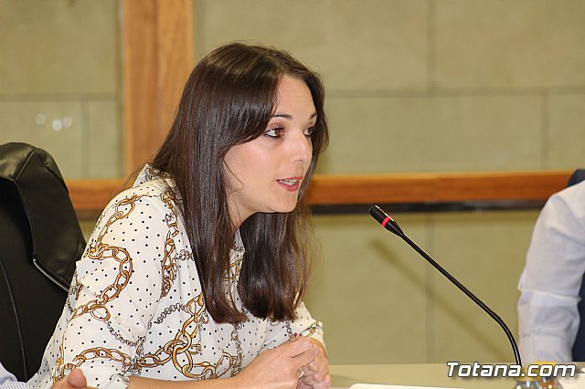 Pleno ordinario octubre 2019 - 33