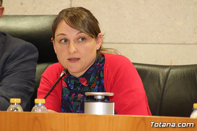 Pleno ordinario octubre 2019 - 38