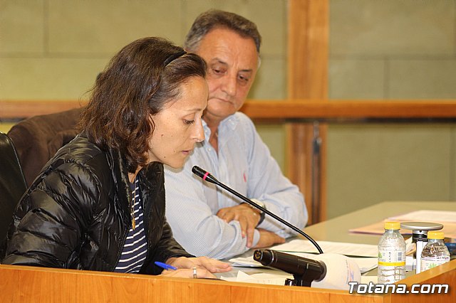 Pleno ordinario octubre 2019 - 39