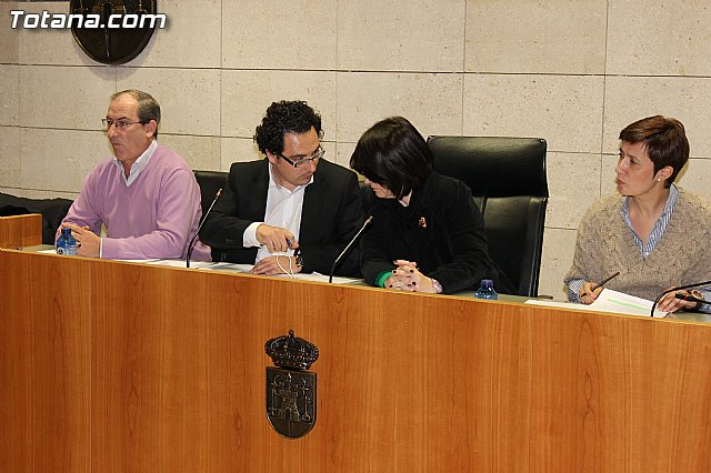 Pleno ordinario Enero 2013 - 9