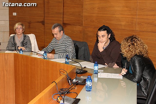 Pleno ordinario Enero 2013 - 11