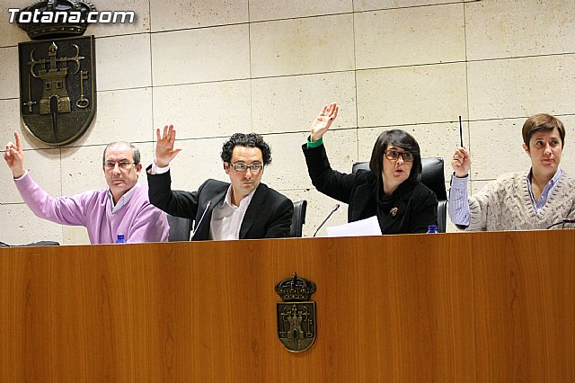 Pleno ordinario Enero 2013 - 16