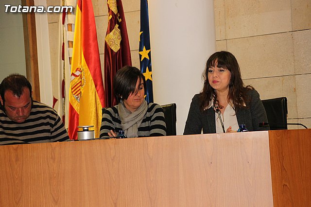 Pleno ordinario Enero 2013 - 17