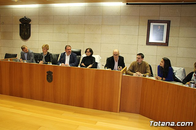 Pleno ordinario enero 2019  - 4