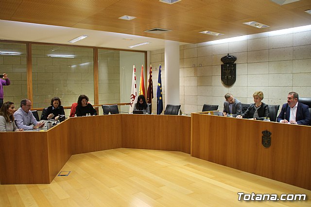 Pleno ordinario enero 2019  - 5