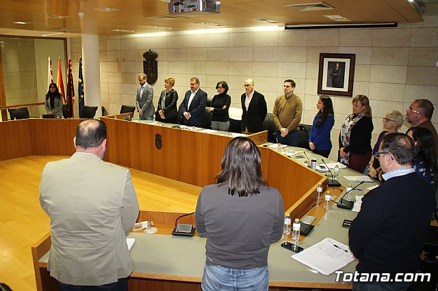 Pleno ordinario enero 2019  - 7