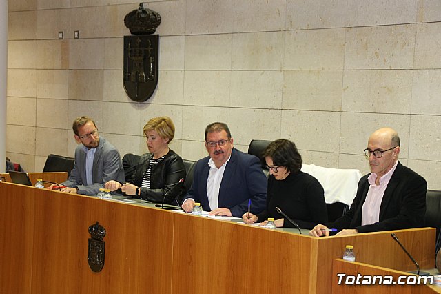 Pleno ordinario enero 2019  - 8