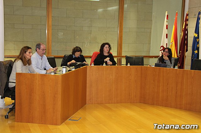 Pleno ordinario enero 2019  - 9