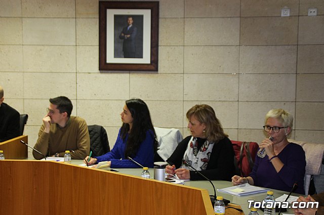 Pleno ordinario enero 2019  - 10
