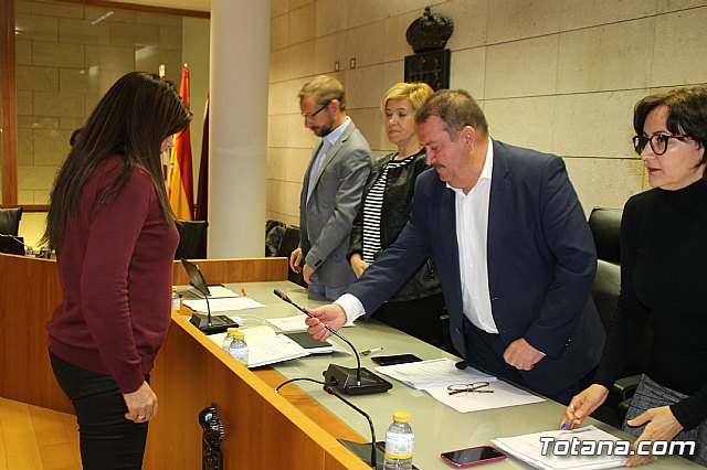 Pleno ordinario enero 2019  - 12