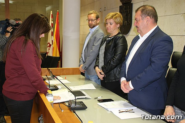 Pleno ordinario enero 2019  - 13