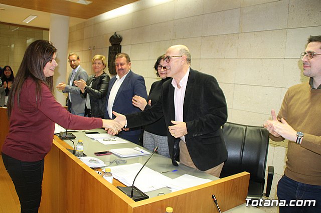 Pleno ordinario enero 2019  - 17