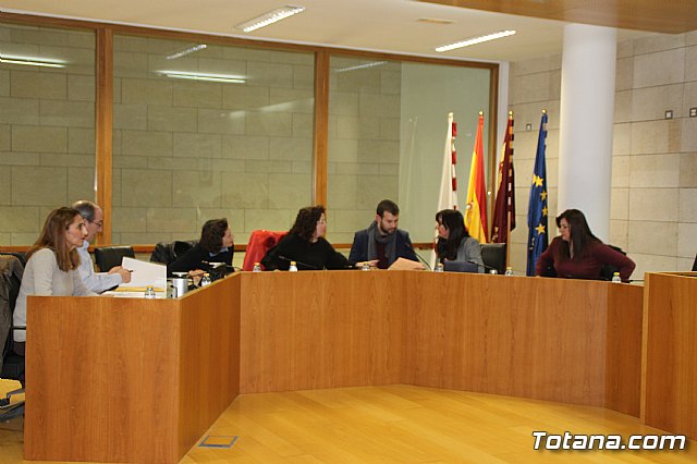 Pleno ordinario enero 2019  - 18