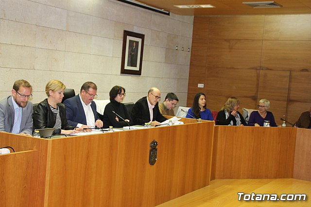 Pleno ordinario enero 2019  - 19