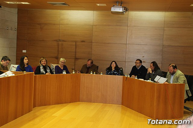 Pleno ordinario enero 2019  - 20
