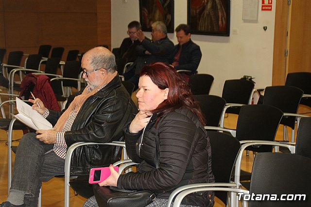 Pleno ordinario enero 2019  - 21