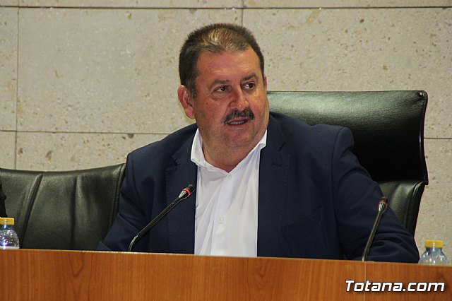 Pleno ordinario enero 2019  - 22