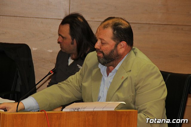 Pleno ordinario enero 2019  - 25