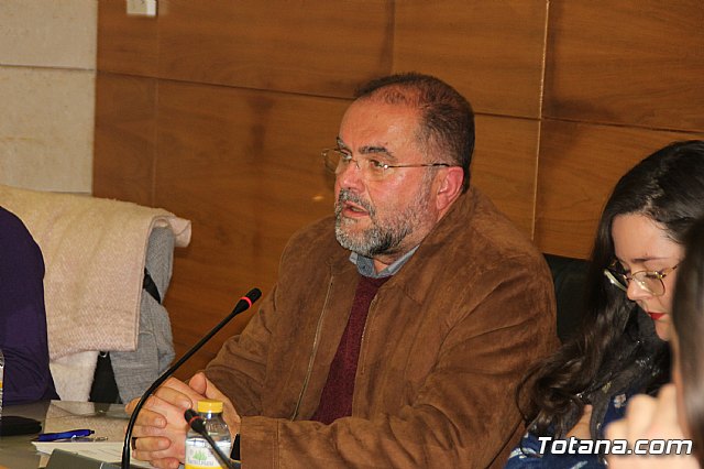 Pleno ordinario enero 2019  - 27