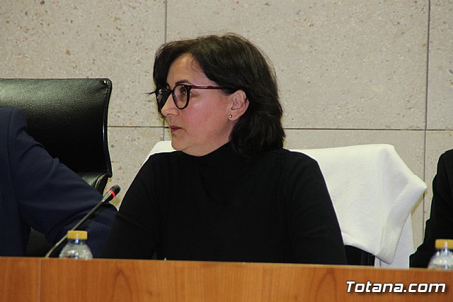 Pleno ordinario enero 2019  - 28