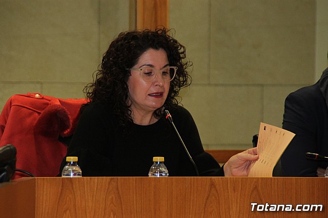 Pleno ordinario enero 2019  - 29