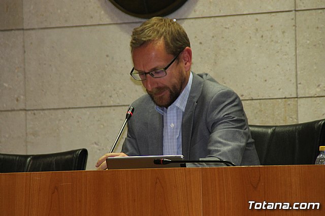 Pleno ordinario enero 2019  - 30