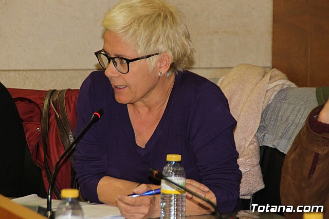 Pleno ordinario enero 2019  - 31