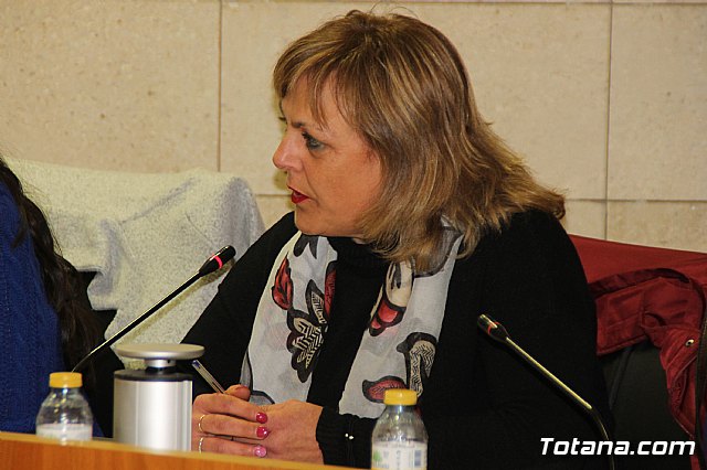 Pleno ordinario enero 2019  - 33