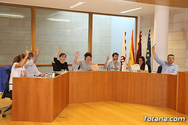 Pleno ordinario mayo 2018 - 14