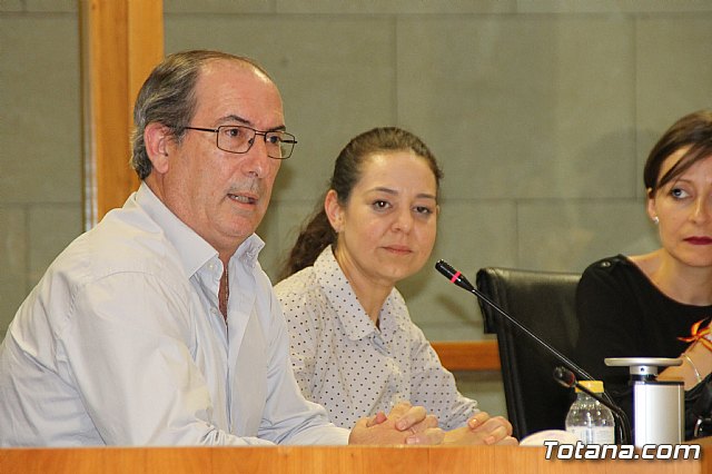 Pleno ordinario mayo 2018 - 19