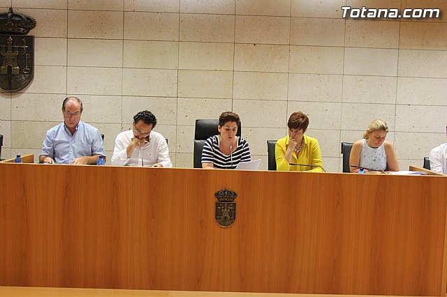 Pleno ordinario julio 2014 - 4