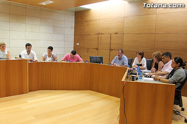 Pleno ordinario julio 2014 - 6