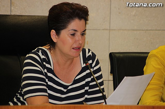 Pleno ordinario julio 2014 - 10